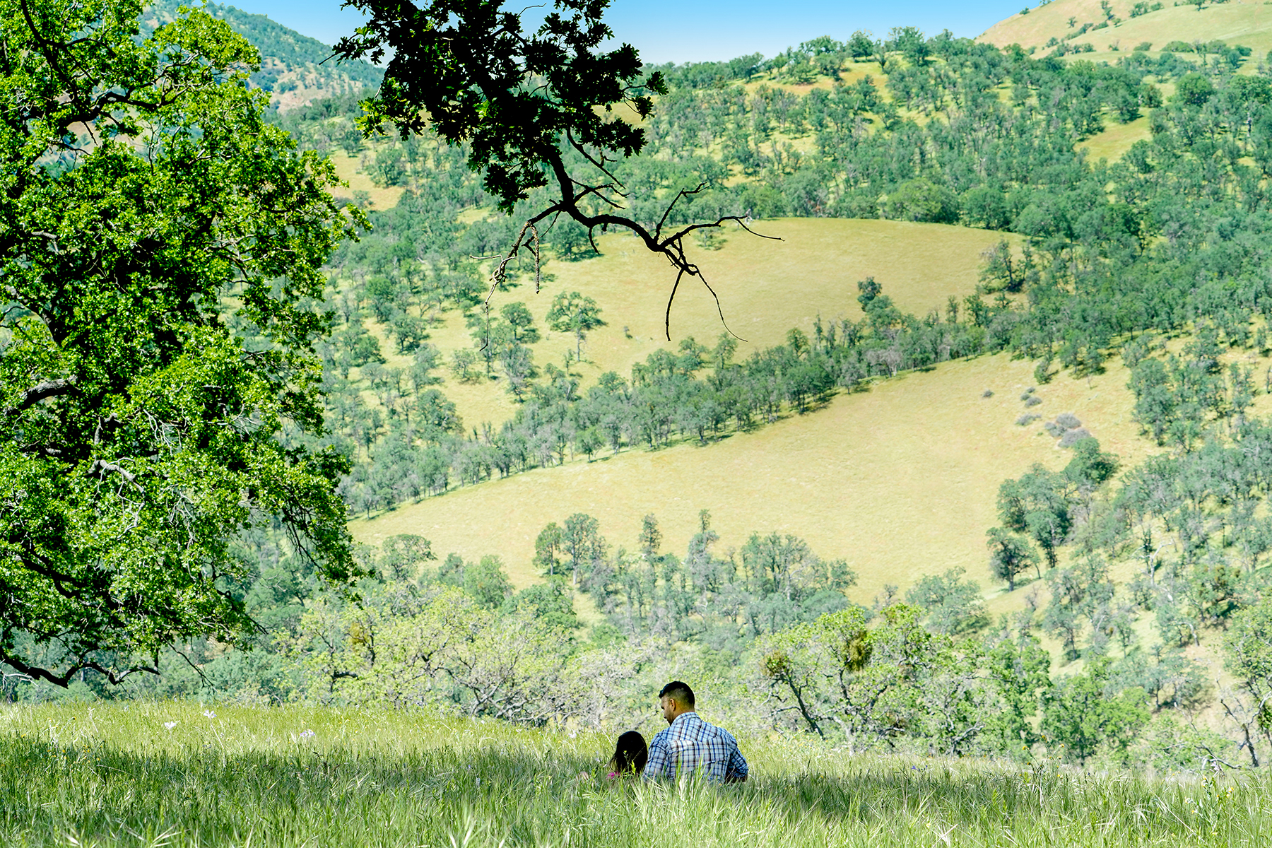 A couple taking a moment to relax in a grassy meadow