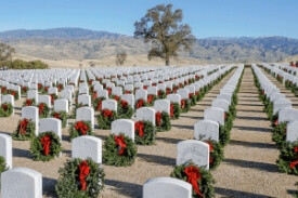 Image of the national veterans cemetery in White Wolf