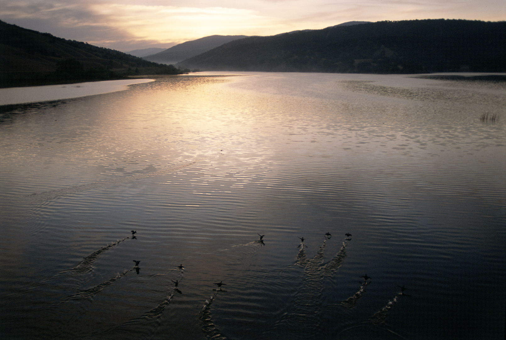 Tejon Lake at sunrise